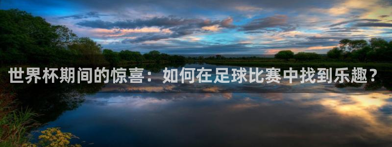 预选赛世界杯:世界杯期间的惊喜:如何在足球比赛中找到乐趣?