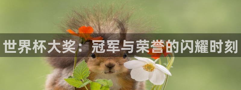 2026足球世界杯赛程时间表:世界杯大奖:冠军与荣誉的闪耀时刻