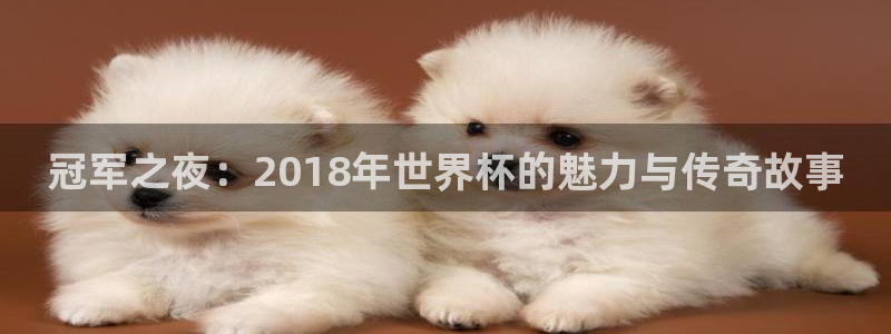 世界杯今日赛程直播:冠军之夜:2018年世界杯的魅力与传奇故事