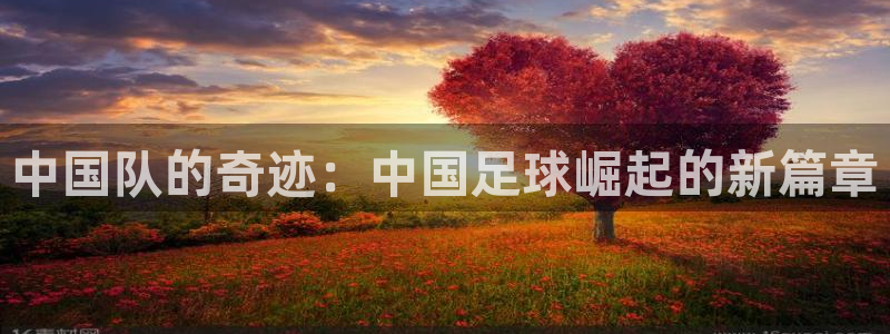 世界杯预选赛2026:中国队的奇迹:中国足球崛起的新篇章