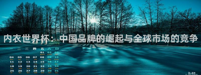 世界杯直播高清:内衣世界杯:中国品牌的崛起与全球市场的竞争