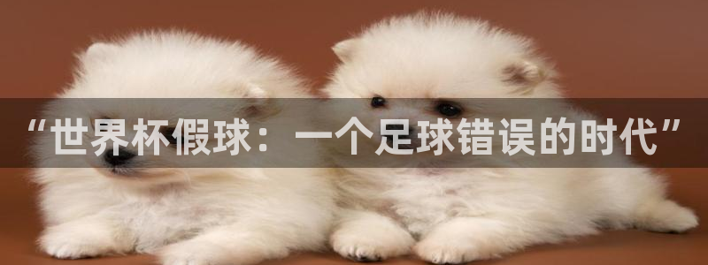 世界杯预选赛欧洲赛区赛程:“世界杯假球:一个足球错误的时代”