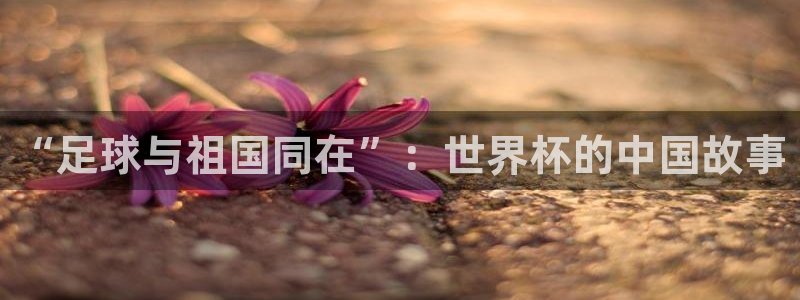 世界杯欧洲区世预赛赛程:“足球与祖国同在”:世界杯的中国故事