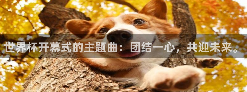 世界杯直播网站:世界杯开幕式的主题曲:团结一心,共迎未来。